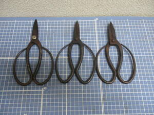  old bonsai for flower cut .basami3ps.@. equipped ( deep . regular?.*. next ) inspection bonsai equipment tongs scissors 