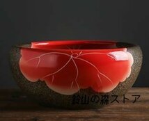 睡蓮鉢、綺麗な陶器製、メダカ、金魚、水性植物、手描きの逸品 ☆径41cm_画像1