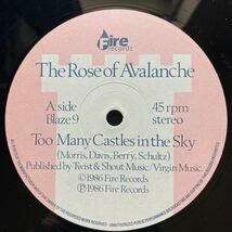 12inch THE ROSE OF AVALANCHE / TOO MANY CASTLES IN THE SKY_画像7