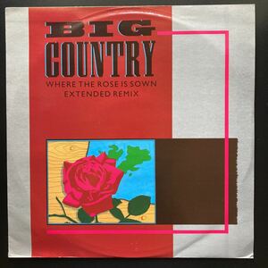12inch BIG COUNTRY / WHERE THE ROSE IS SOWN