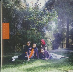 新品未開封！欧2022年プレスLP Big Thief / U.F.O.F.【4AD 4AD0129LP】ビッグ・シーフ Indie Rock Indie Folk 名盤 Cattails