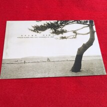 戦前　絵葉書　4枚　津名所　津海岸風景　漁の風景　ヴィンテージ　アンティーク　希少　ハガキ　はがき　当時物　印刷物　かなり古い　_画像5