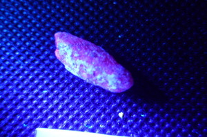蛍光鉱物 原石 ルビー Ruby/Corundum 光る石の不思議な世界 幻想の世界へようこそ 希少品 開運パワーストーン モロッコ産