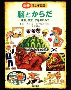 脳とからだ　運動，感覚，思考のひみつ 生命ふしぎ図鑑／スティーヴ・パーカー(著者),井上貴央(訳者),デイヴィッド・ウェスト