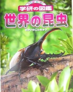 世界の昆虫 ニューワイド学研の図鑑／岡島秀治