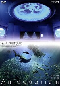 ＮＨＫＤＶＤ　水族館～Ａｎ　Ａｑｕａｒｉｕｍ～新江ノ島水族館／（趣味／教養）