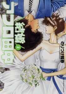 結婚アフロ田中(３) ビッグＣスピリッツ／のりつけ雅春(著者)