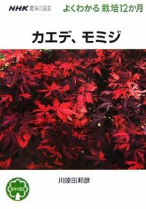 趣味の園芸　カエデ、モミジ よくわかる栽培１２か月 ＮＨＫ趣味の園芸／川原田邦彦【著】