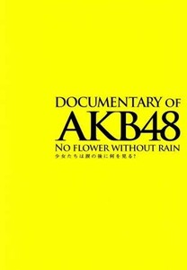 ＤＯＣＵＭＥＮＴＡＲＹ　ｏｆ　ＡＫＢ４８　ＮＯ　ＦＬＯＷＥＲ　ＷＩＴＨＯＵＴ　ＲＡＩＮ　少女たちは涙の後に何を見る？　スペシャル・