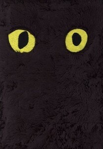 猫　Ｐａｃｋ（初回生産限定盤）／黒猫チェルシー