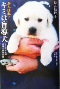 がんばれ！キミは盲導犬 トシ子さんの盲導犬飼育日記 私の生き方文庫１２－１／長谷島妙子(著者)