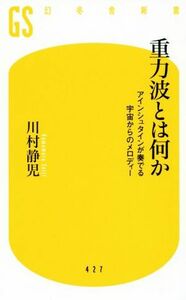 重力波とは何か アインシュタインが奏でる宇宙からのメロディー 幻冬舎新書／川村静児(著者)