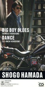 【８ｃｍ】ＢＩＧ　ＢＯＹ　ＢＬＵＥＳ／浜田省吾