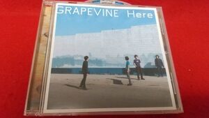 CD Grapevine Here retro CD с поясом оби 