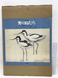 素描集　野の鳥たち　ある画家のフィールド・スケッチ　大修館書店　1980