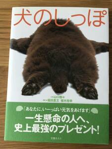 犬のしっぽ★山口樹々さん★一生懸命の人へ、史上最強のプレゼント★犬★