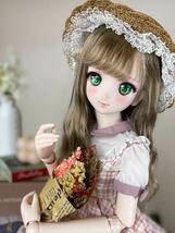 M31 DDH-06 カスタムヘッド ソフビ盛り ドルフィードリーム _画像3