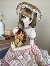 M31 DDH-06 カスタムヘッド ソフビ盛り ドルフィードリーム _画像4