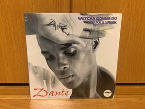 DANTE ♪WATCHA GONNA DO / 7 DAYS A WEEK US オリジナル