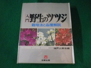 ■入門 野生のツツジ　栽培法と品種解説　文研出版■FASD2023032001■