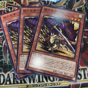 遊戯王　【3枚セット】 ノーマル　DABL-JP017　獣の忍者-獏　 DARKWING BLAST