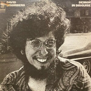 David Bromberg - Demon In Disguise（★盤面ほぼ良品！）