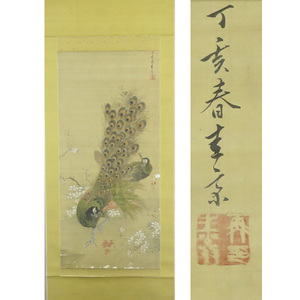 Art hand Auction B-3140 [Œuvre authentique] Keisai Onishi peinture sur soie peinte à la main paon rouleau suspendu/peintre japonais Buzen Nakatsu samouraï Edo maître Buncho Tani peinture de fleurs et d'oiseaux calligraphie, peinture, Peinture japonaise, fleurs et oiseaux, oiseaux et bêtes