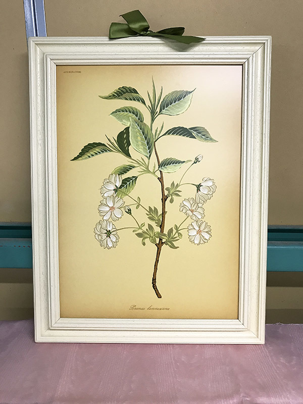 年最新ヤフオク!  桜 絵画その他の中古品・新品・未使用品一覧