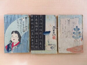 岡田眞之旧蔵書 柳亭種彦作 歌川国貞画『筆廼海四国聞書』（10編20冊）文久2-明治7年 蔦屋吉蔵 江戸時代和本 合巻 浮世絵 絵草紙・草双紙