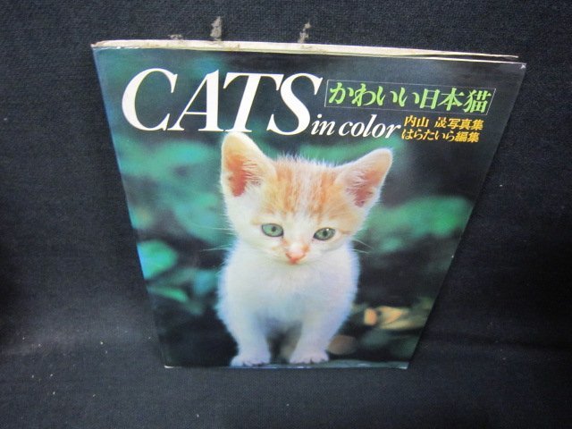 ヤフオク! -#日本猫(本、雑誌)の中古品・新品・古本一覧