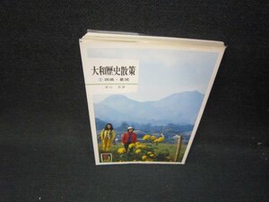 大和歴史散策2　青山茂著　カラーブックス　ライン書込み有/IBQ