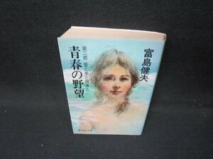 青春の野望　富島健夫　集英社文庫　シミ有/IBS