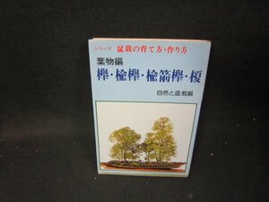 盆栽の育て方作り方　葉物編　欅・楡欅・楡箭欅・榎　日焼け強/ICA