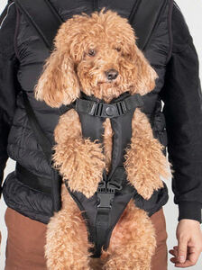 犬と猫のための調節可能なショルダーストラップ付きのバックパック 抱っこひも トラベルバッグ