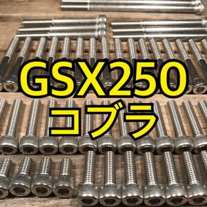 ステンレス製 GSX250コブラ GJ73A 左右エンジンカバーボルト 合計24本 