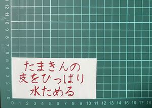 カッティングステッカー　詩　ステッカー　トラック　デコトラ　ポエム　文字　おもしろ　バイク　ジョーク　下ネタ　シール　車