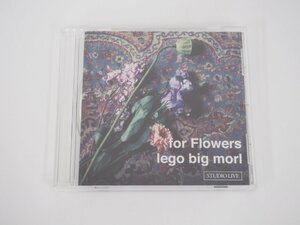 ★　【CD for Flowers lego big morl　レゴ ビッグ モール】108-02303