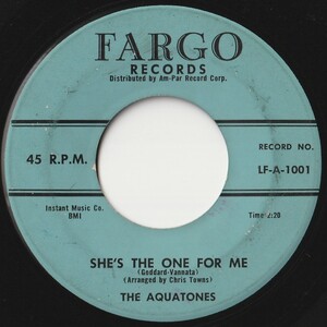 Aquatones She's The One For Me / You Fargo US LF-A-1001 202027 R&B R&R レコード 7インチ 45