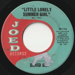 David Box Little Lonely Summer Girl / No One Will Ever Know Joed US TR-116 202041 ROCK POP ロック ポップ レコード 7インチ 45