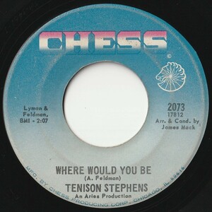 Tennyson Stephens Where Would You Be / Can't Take My Eyes Off You Chess US 2073 202003 SOUL ソウル レコード 7インチ 45