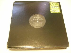 ●HIP HOP RAP 12”●V.A. / SURVIVAL OF THE ILLEST