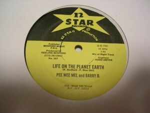 ●HIP HOP RAP 12inch●PEE WEE MEL AND BARRY B. / LIFE ON THE PLANET EARTH