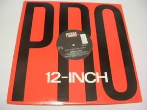 ●HIP HOP RAP 12inch●DANA DANE / LOVE AT FIRST SIGHT