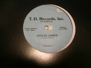 ●HIP HOP RAP 12”●Mr. K / FEELIN' JAMES