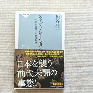 スタグフレーション　生活を直撃する経済危機 （祥伝社新書　６６６） 加谷珪一／〔著〕