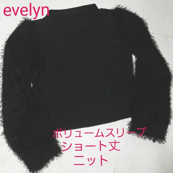 お値下げしました!evelyn ボリュームスリーブ スタンドカラーニット 黒