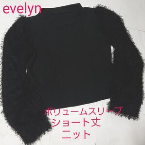 再お値下げしました!evelyn ボリュームスリーブ スタンドカラーニット 黒