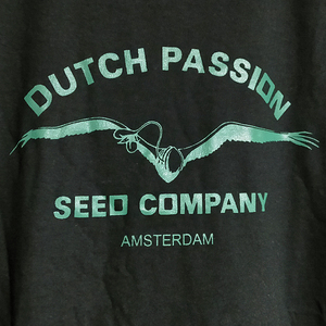 送込 Dutch Passion Seeds ダッチパッション　アムステルダム　半袖Tシャツ 黒　Lサイズ