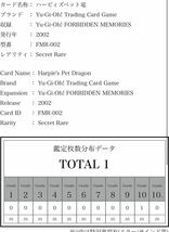 【ARS鑑定10】ハーピィズペット竜 Harpie's Pet Dragon 鑑定書付き PSA BGS CGC ARS鑑定 遊戯王OCG TCG_画像3