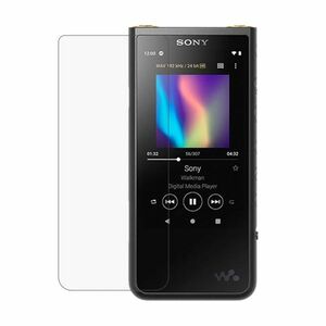 SONY Walkman NW-ZX500 NW-ZX505 NW-ZX507 9H 0.26mm 強化ガラス 液晶保護フィルム 2.5D L123